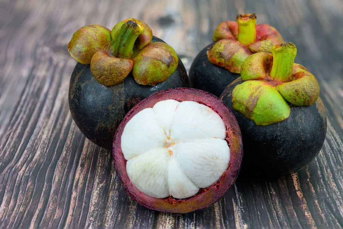 Mangostão: 5 benefícios surpreendentes para a saúde