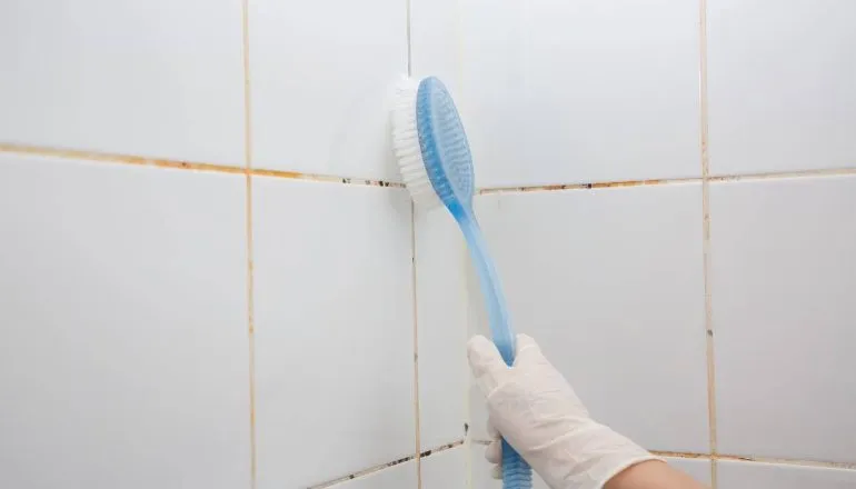 Adeus, bolor! Técnica fácil acaba com manchas no banheiro em minutos