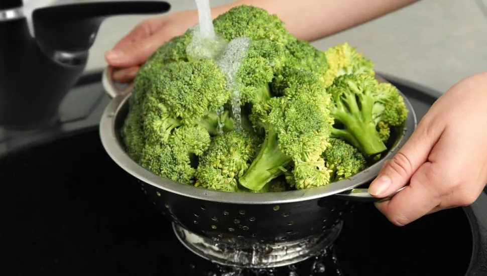 Como higienizar brócolis: métodos simples para limpar, tirar insetos e deixar o vegetal seguro