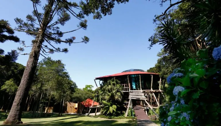 Vereadora de Curitiba pede tombamento do Bosque da Copel, no Bigorrilho. 