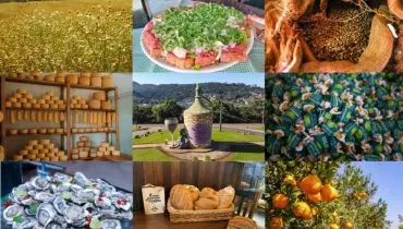 Imagem mostra produtos com indicação geográfica no Paraná e Curitiba.