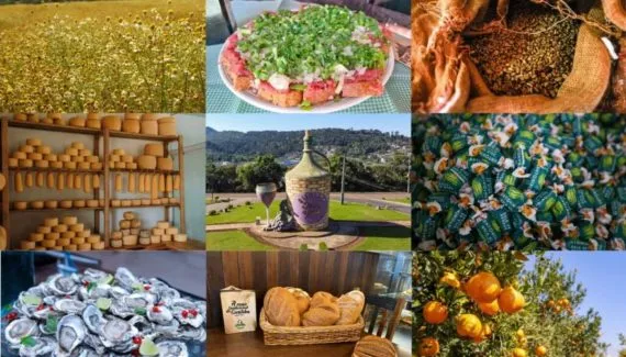 Workshop “Descobrindo Tesouros” terá negócios e aulas com produtos de Indicação Geográfica