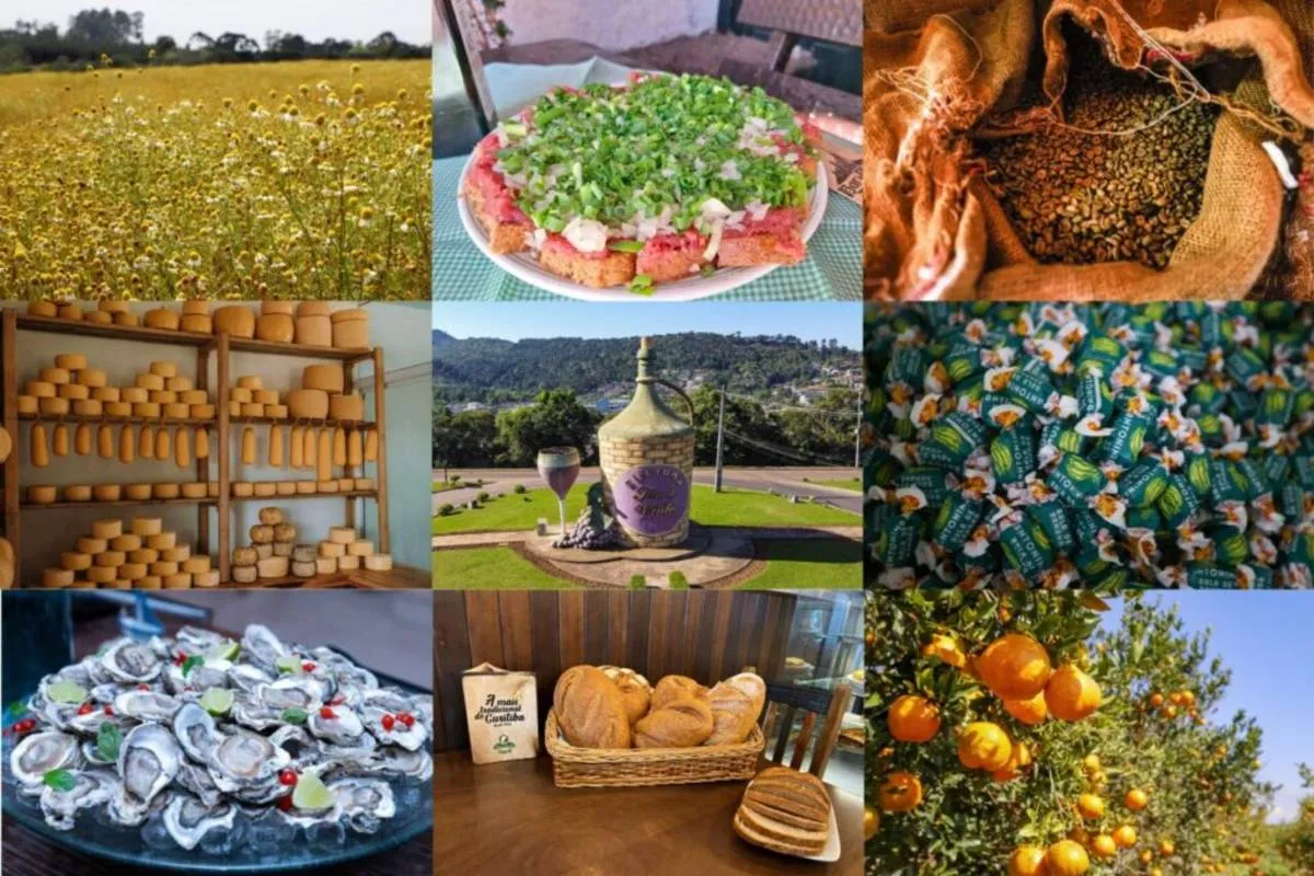 Imagem mostra produtos com indicação geográfica no Paraná e Curitiba.