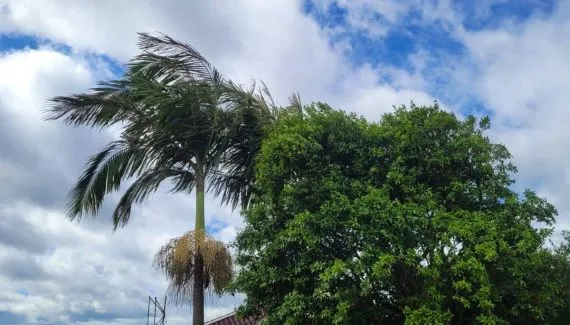 Ciclone extratropical gera vento de mais de 50 km/h em Curitiba