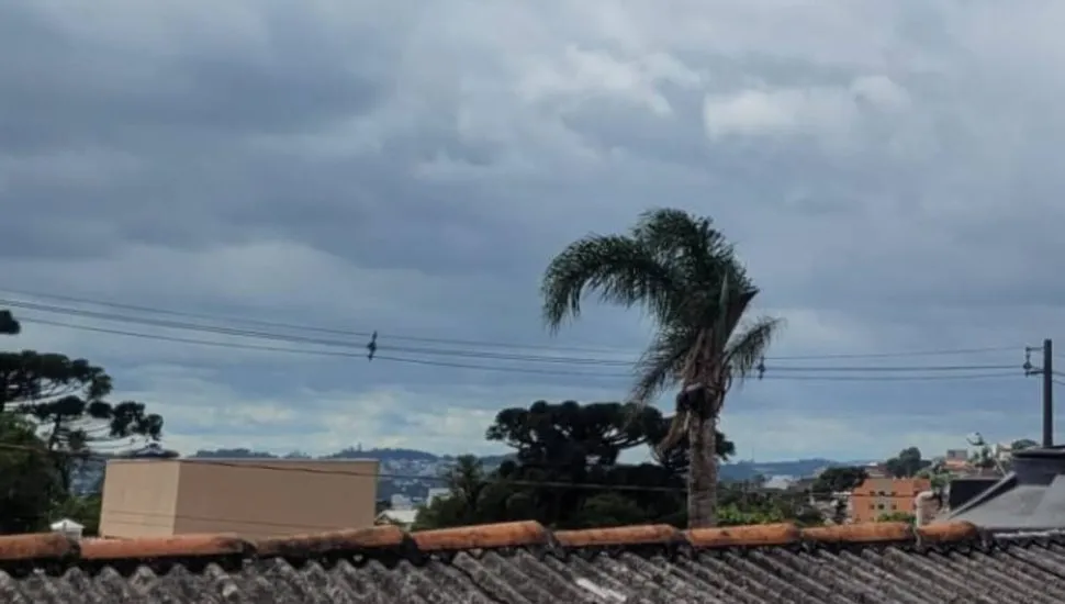 Imagem mostra árvores balançando com o vento.