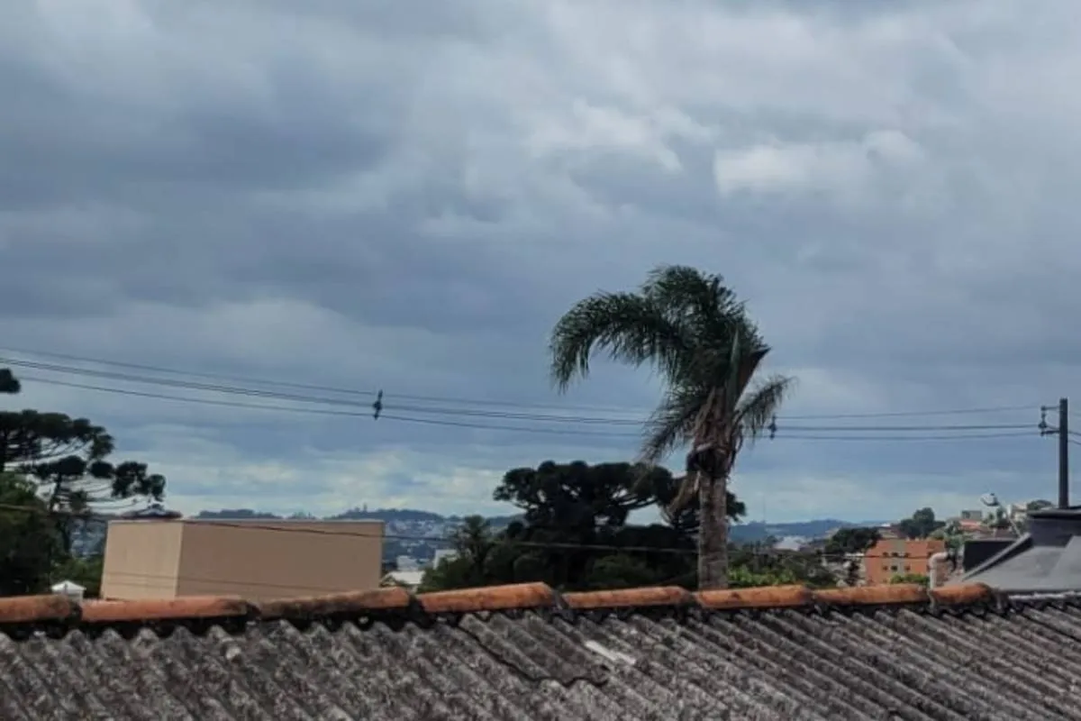 Imagem mostra árvores balançando com o vento.