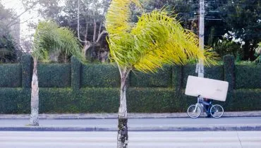 Ventos ultrapassam 75 km/h e batem recordes em cidades do Paraná