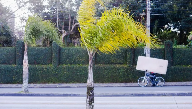 Ventos quebram recordes no Paraná; Fazenda Rio Grande tem maior rajada desde 2015