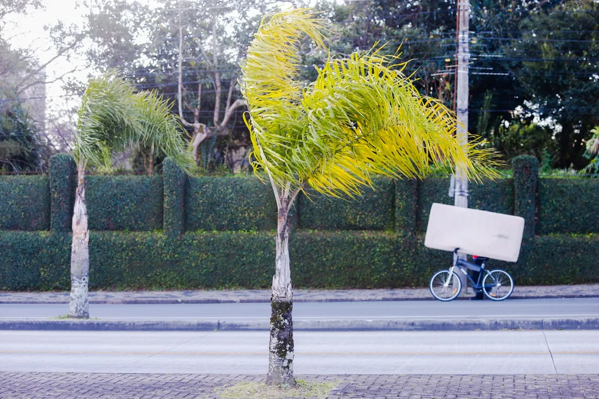 Ventos ultrapassam 75 km/h e batem recordes em cidades do Paraná