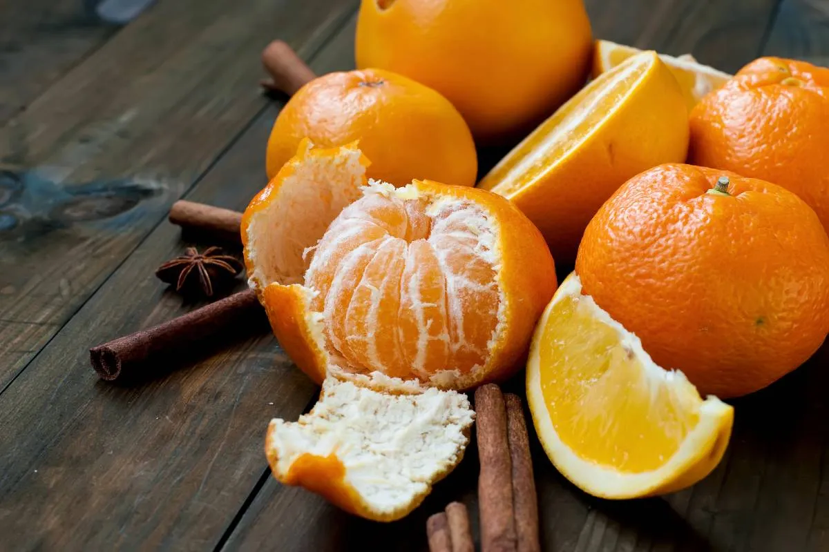 Imagem mostra uma tangeria aberta com cascas e paus de canela ao lado.