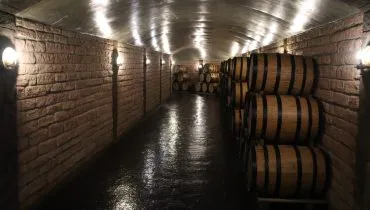 Cidade a menos de 15km do centro de Curitiba tem o maior número de vinícolas do Paraná