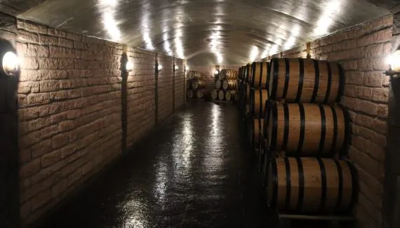 Cidade a menos de 15km do centro de Curitiba tem o maior número de vinícolas do Paraná