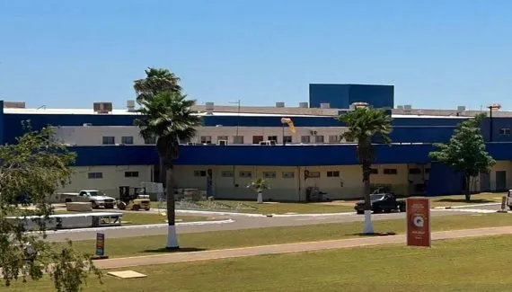 100% de aves natalinas de marca famosa são criadas no Paraná