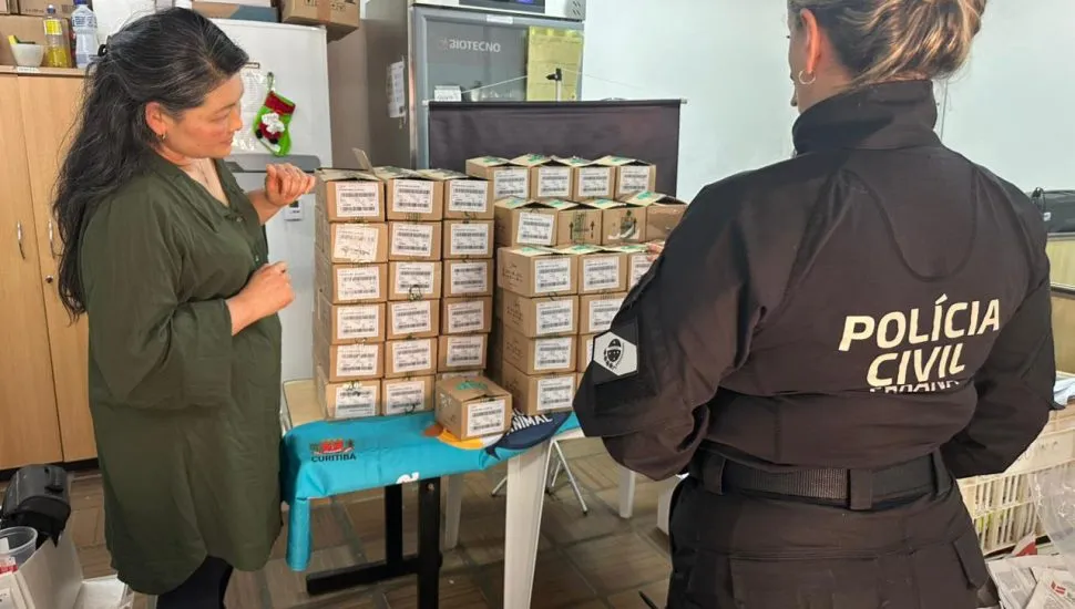 cetamina apreendida em curitiba