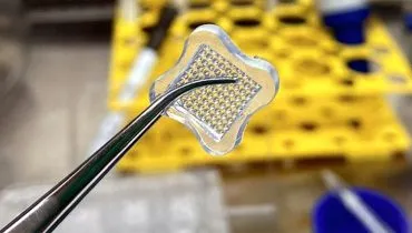 Laboratório de Curitiba faz pele humana artificial para substituir testes em animais