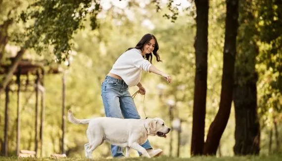 Como cuidar do pet com a rotina corrida: 7 dicas essenciais