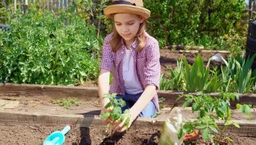 Deputado sugere projeto piloto com pedagogia Waldorf nas escolas do Paraná