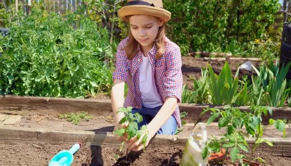 Deputado sugere projeto piloto com pedagogia Waldorf nas escolas do Paraná
