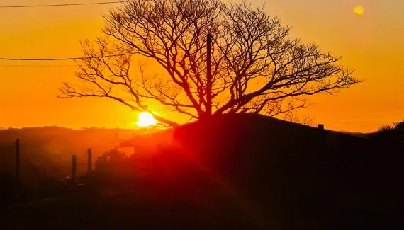 Onda de calor: temperaturas acima de 35ºC colocam o corpo humano em risco