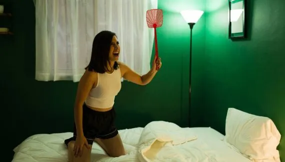 Calor em Curitiba traz invasão de pernilongos: veja dicas práticas para dormir melhor