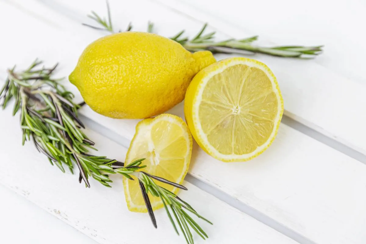 Imagem mostra um limão galhos de alecrim.