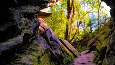 Imagem mostra o Parque Estadual do Monge, na Lapa.