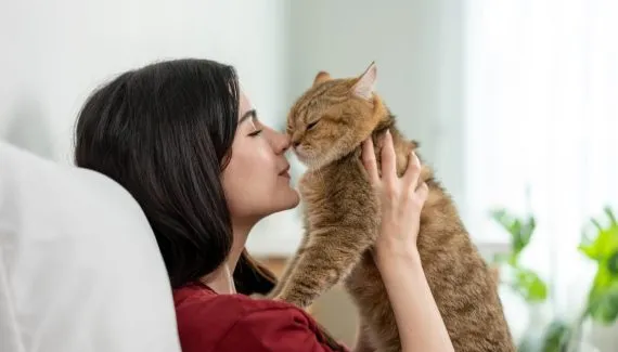7 dicas para tornar o gato mais sociável