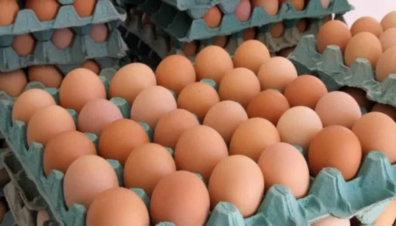 Ovo com casca suja: comprar ou fugir? Embrapa explica!