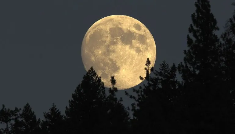 Lua Cheia de Perigeu deste sábado é primeira Superlua de 2026
