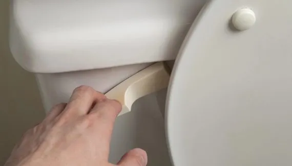 Uso errado da descarga pode ser o vilão do cheiro de esgoto em casa