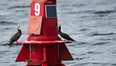 Ilha do Mel terá novo controle de acesso e mais turistas por dia