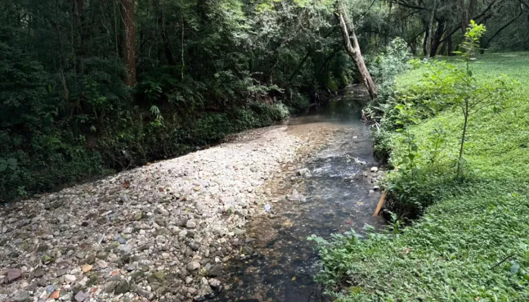 Erosão e poluição expõem abandono do programa Amigo dos Rios em Santa Felicidade