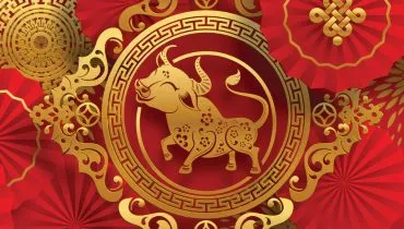 Os nativos do Búfalo, geralmente, são reservados e introspectivos (Imagem: Siam Vector | Shutterstock)