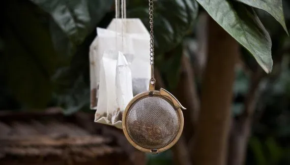 Chá de camomila com larvas e insetos é recolhido