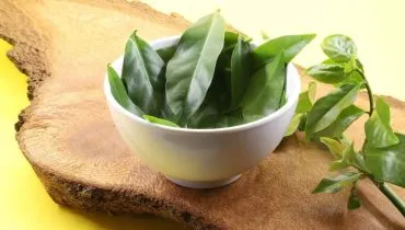 A ora-pro-nóbis pode ser uma aliada na digestão, imunidade e saciedade (Imagem: Mirian Goulart Nogueira | Shutterstock)