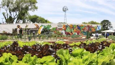 Nova lei permite hortas urbanas em mais áreas de Curitiba