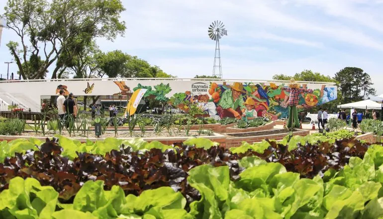 Nova lei permite hortas urbanas em mais áreas de Curitiba