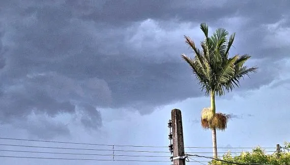 Previsão do tempo em Curitiba: Domingo chuvoso e quente