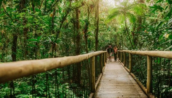 Parque ecológico em Morretes tem balão, trilhas e oficinas em programação de verão