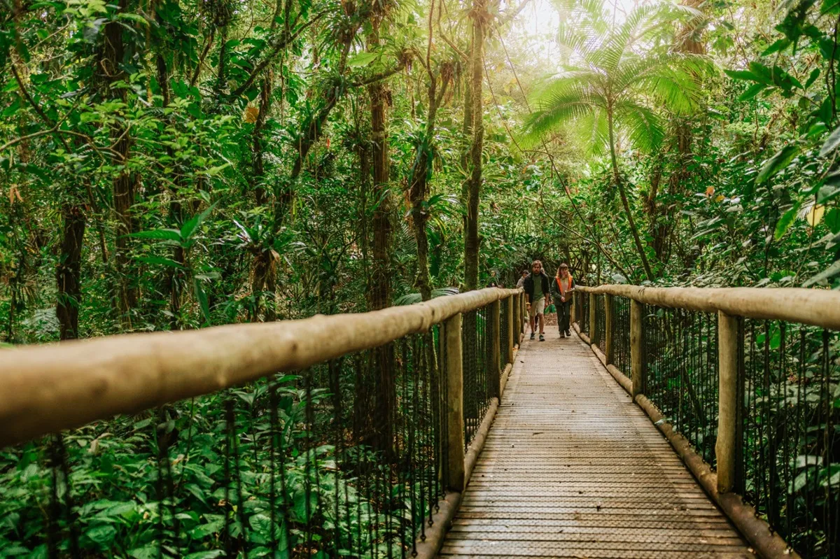 ekoa park tem programação diferenciada até carnaval