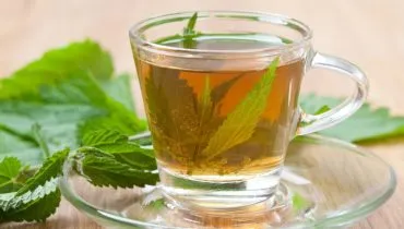 Chá de mastruz (Imagem: madorf | Shutterstock)