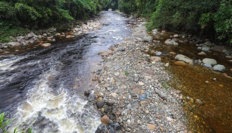 Cabeça d’água: como identificar o perigo e evitar acidentes em rios e cachoeiras