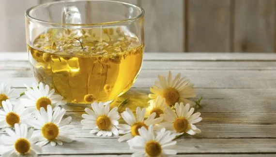 Camomila faz bem? 8 benefícios da planta para a saúde e como consumir