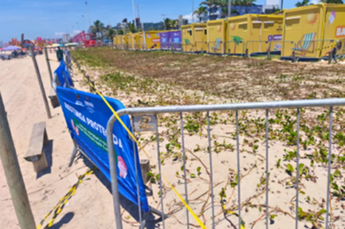 restinga danificada em matinhos após shows do verão maior paraná