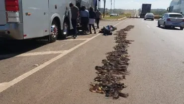 Cabelos e remédios escondidos em malas levam PRF a apreensão em ônibus