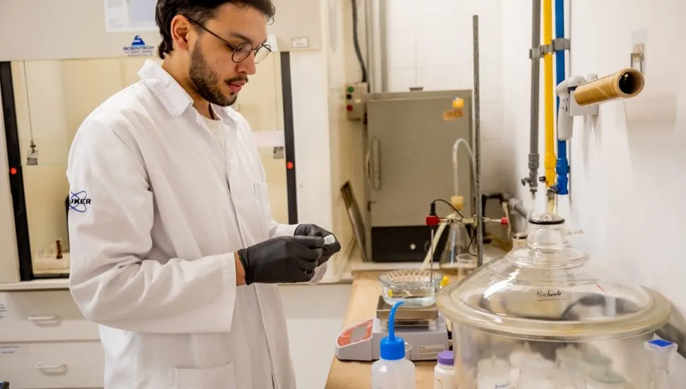 uso da babosa para curativos é tema de pesquisa da ufpr