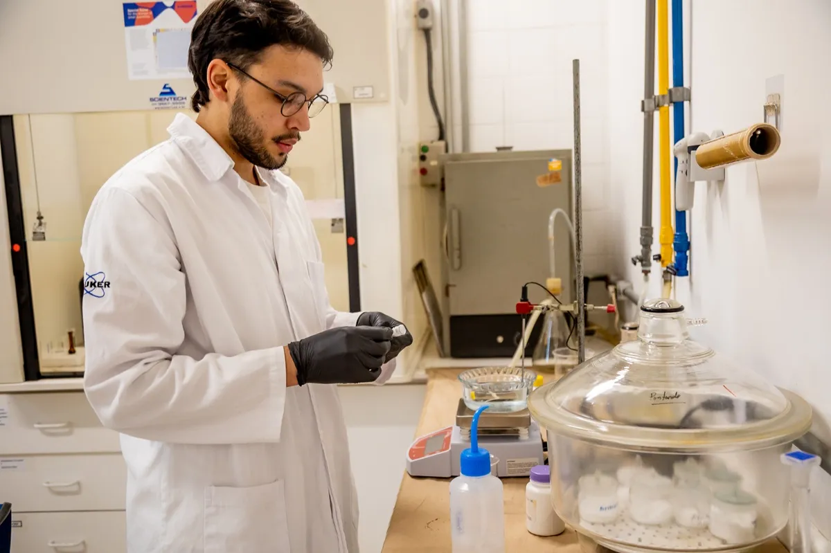 uso da babosa para curativos é tema de pesquisa da ufpr