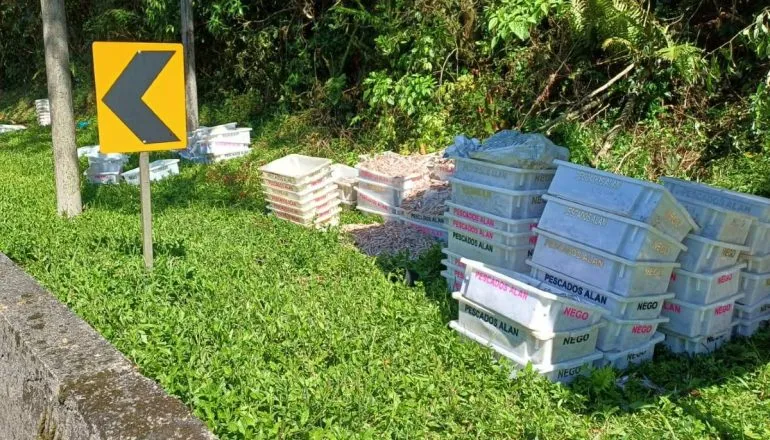 Carga de pescados ficou espelhada pela pista.