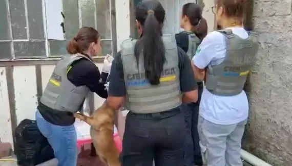 Animais vítimas de zoofilia são resgatados na RMC e suspeitos passam por teste biológico