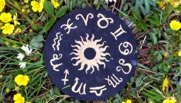 Cada signo do zodíaco carrega características energéticas específicas que podem ser potencializadas por plantas (Imagem: Vera Petruk | Shutterstock)